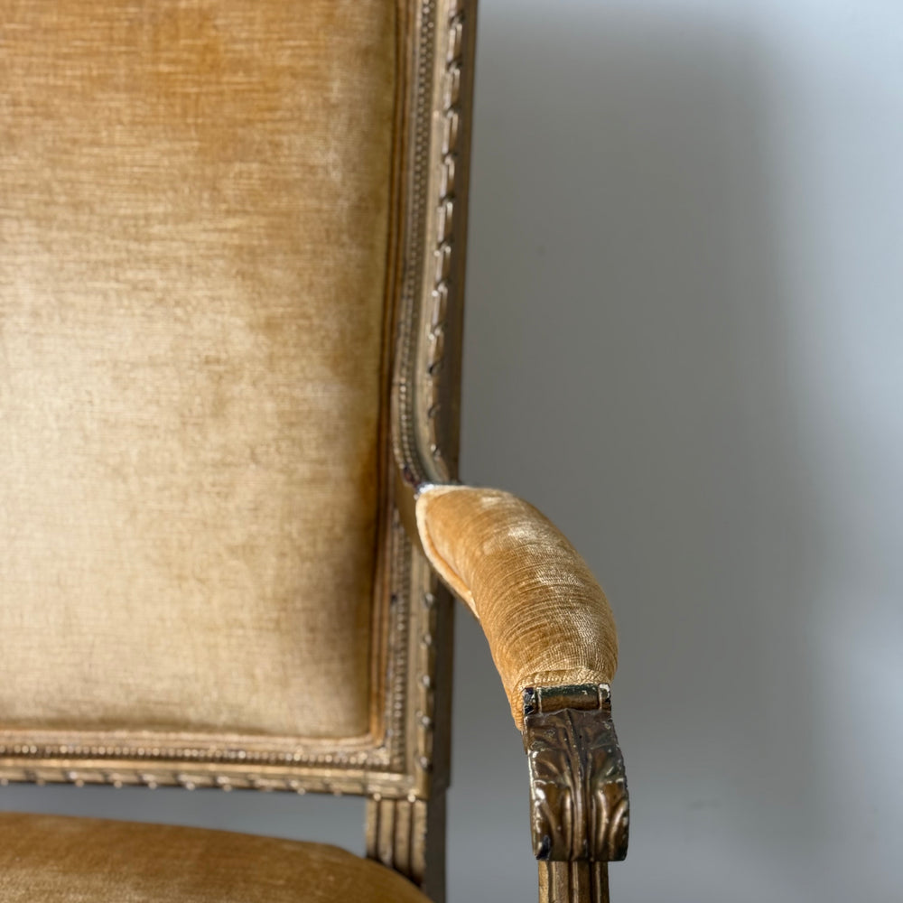 
                  
                    Antique Louis XVI Style Giltwood Parlor Set
                  
                