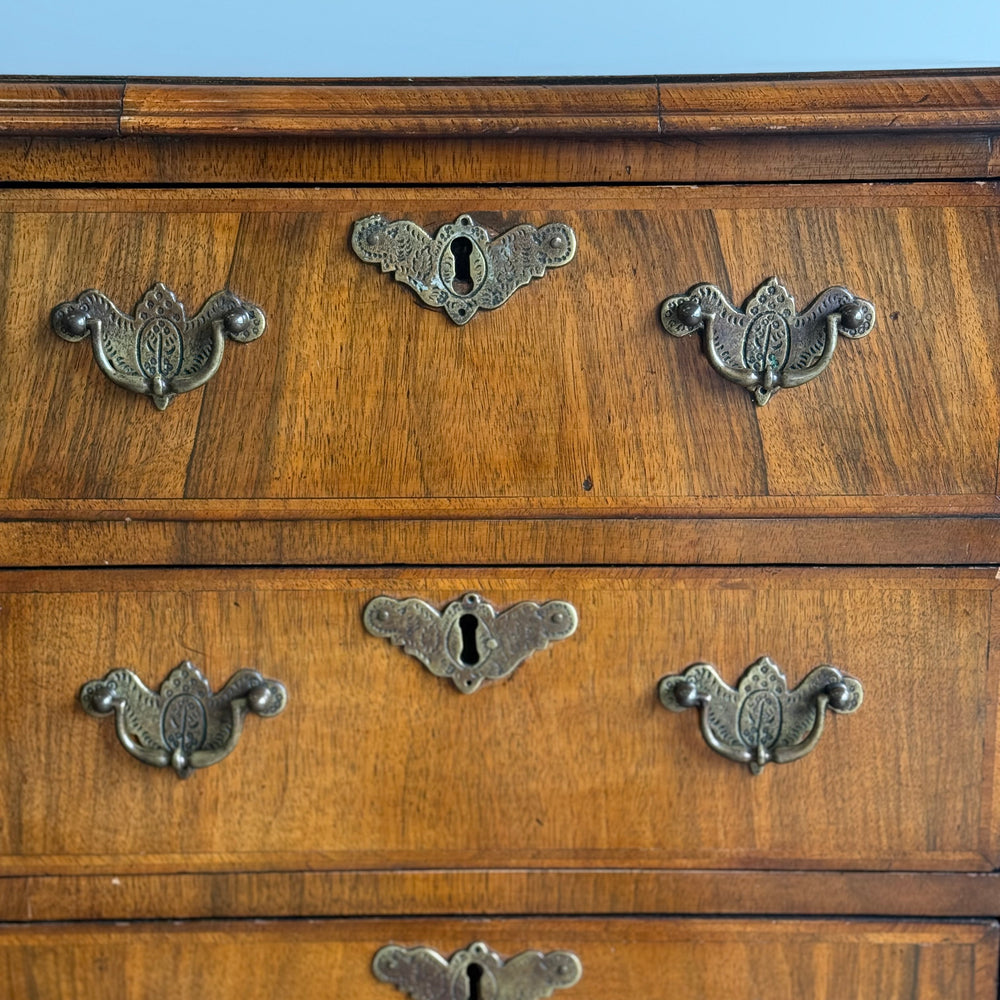 
                  
                    Antique French Provincial Carved Lingerie Chest
                  
                