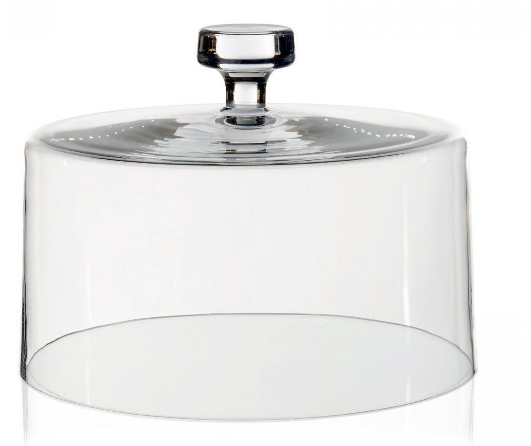 Glass Dome English Hand Blown