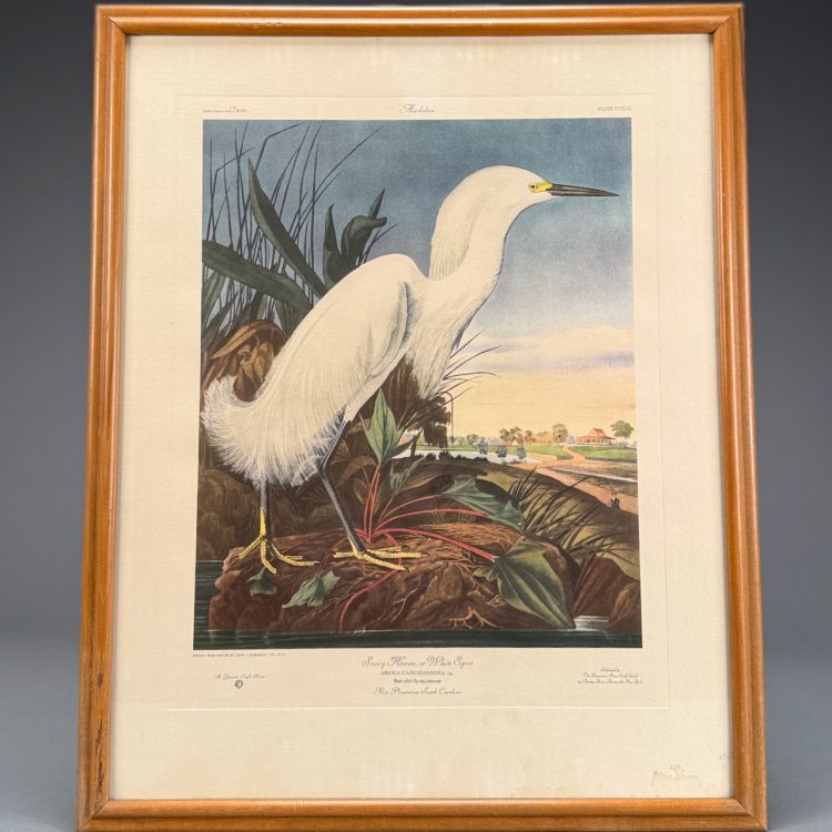 After John James Audubon, "Snowy Heron Or White Egret"
